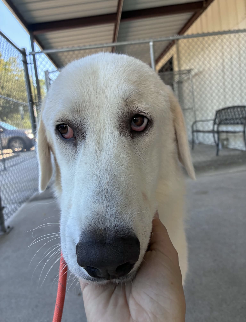 Casper